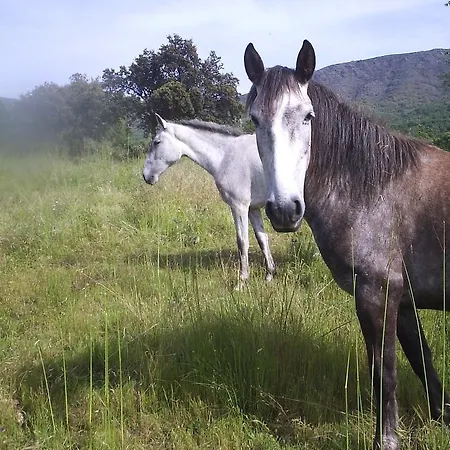 La Dehesa