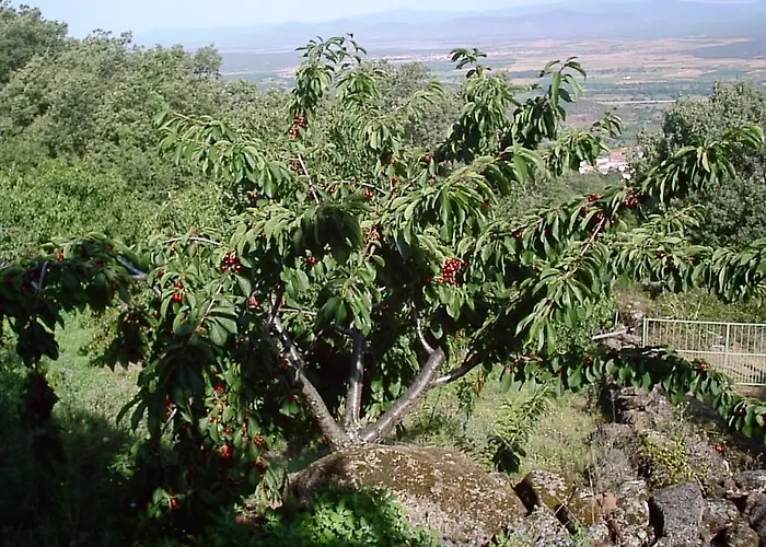 La Dehesa * Casas del Monte